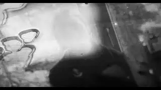 Present Paradox - The Crack