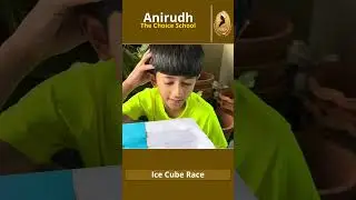 Ice Cube Race: RYSI 2024 Sample Submission Preview! | ISPF