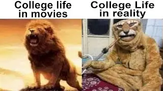 Dankest Memes 206