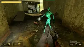 Half-Life is Now Multiplayer?!? (Part 2)