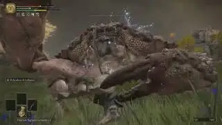 Mi primer dragon #6 - Elden ring