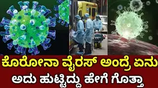 What is the Corona virus | corona viruses | corona ! the truth behind viruses