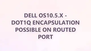 Dell OS10.5.x - DOT1Q encapsulation possible on routed port