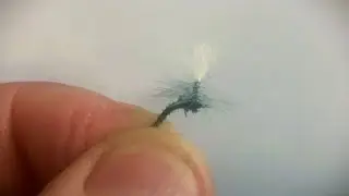 Fly Fishing Blue Winged Olive Hatch Facts. Dry Fly Fishing or Nymphing