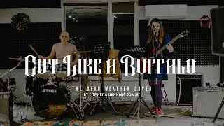 I Cut Like a Buffalo (the Dead Weather cover by  Приглашенный Бомж)