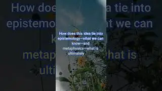 Plato&rsquo;s Theory of Forms Explained: Knowledge and Reality Connection!