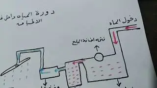 تأثير عسر المياه على عمل غسالة الاطباق