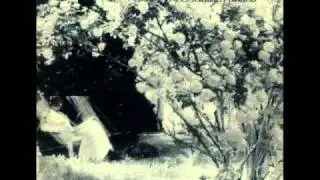Dave Kusworth and The Bounty Hunters - Wives, Weddings and Roses