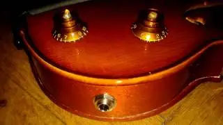 DIY Electric Violele