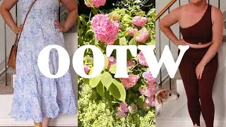 August OOTW