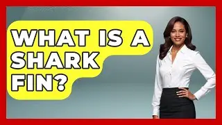 What Is A Shark Fin? - The Marine Life Explorer