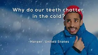 Why do our teeth chatter in the cold?