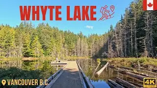 Whyte Lake : Virtual Hike Tour in West Vancouver | 4k