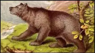 Clifton Johnson - A Book Of Fairy Tale Bears: The Bear And The Two Huntsmen