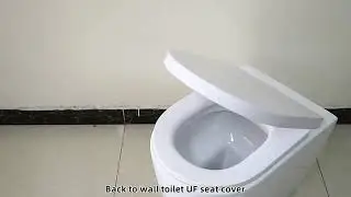 Back to wall toilet