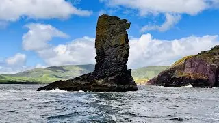 Dingle peninsula | Boat Tour | Ireland