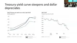 Nellie Liang - &ldquo;Treasury Market Resilience&rdquo; | Volatility and Risk Institute Conference 2025