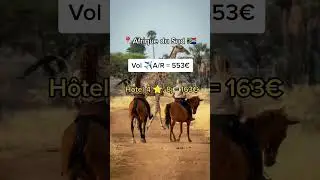 THE destination pour d&eacute;couvrir la faune sauvage !  📍Afrique du Sud 🇿🇦 Vol + H&ocirc;tel = 716&euro; par pers