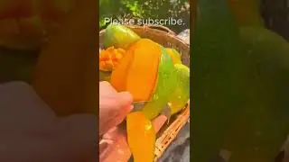 Wow! What a beautiful and juicy mango.#shorts #viralshorts #mango