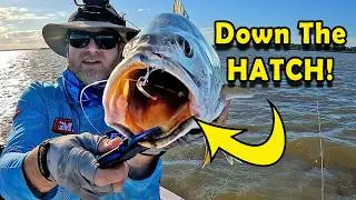 Official Business! We put NEW vibration bait colours to the test!!
