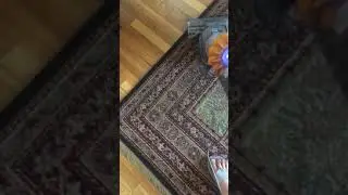 Dyson making crazy noise when vacuuming 😱😱😱