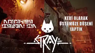 AİLEYİ BİRLEŞTİREBİLDİK Mİ? | STRAY | 2. BÖLÜM