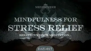 Day 017 &ndash; Mindfulness for Stress Relief Breathing Space Meditation | Mindfulness Basics | Meditation