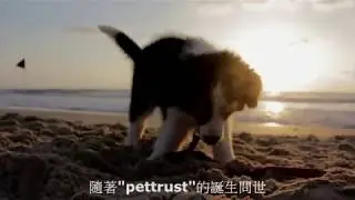 pettrust you - Taiwan