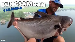 Pesqueiro BUNGSAMRAN - Expedi&ccedil;&atilde;o Tail&acirc;ndia no Fishingtur 1080