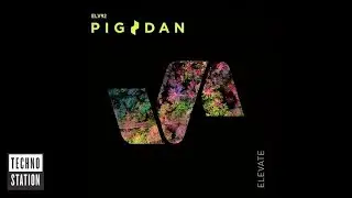 Pig&Dan - Cryptic