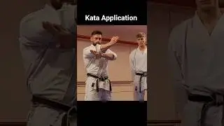 Применение ката &mdash; Из какой это ката? #каратэ #техникакаратэ #сётокан #боевыеискусства