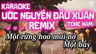 Karaoke Ước Nguyện Đầu Xuân Remix - Tone Nam | Nhạc Xuân Karaoke Remix