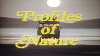 Profiles Of Nature TV Show Intro (October 1984)