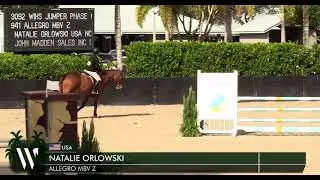 Allegro- First class on Allegro, score of 82 for 6th place in the WIHS jumper phase WEF 3