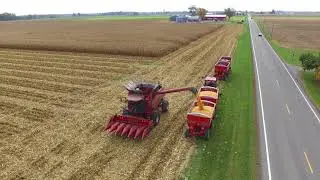 Corn Harvest 2017