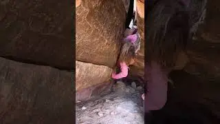 A Brave Little Girl Saves Her Dad