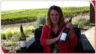 Taste the Cool Climate of Historic Carneros