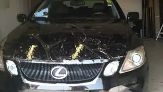 Lexus Clear Bra install pt1