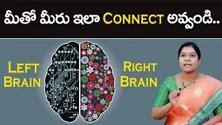 Left Brain VS Right Brain || How To Connect Yourself || Money Management || Money Wallet