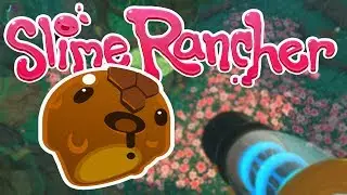 Gettting ALL the slimes keys! | Slime rancher #6