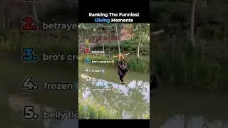 Ranking The Funniest Diving Moments