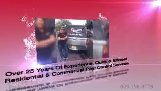 Pest Control Service in Bordentown, NJ | Bug Blasters, Inc