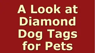 A Look at Diamond Dog Tags for Pets