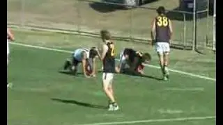 AFLQ Marks of the Year