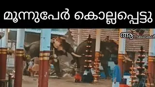 ദേവ്യേ.... ഓടിക്കോ...ആന വരുന്നുണ്ടേ |  koyilandi elephant attack | Elephant attack kerala 2025