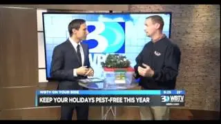 Holiday Pest Proofing| Charlotte, NC| Arrow Exterminators