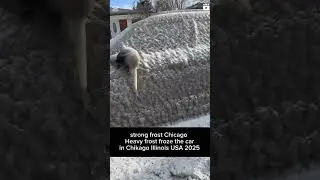 Chicago Illinois USA 2025.01.22 -29.7&deg;C The most powerful frost in history in Chicago 2025