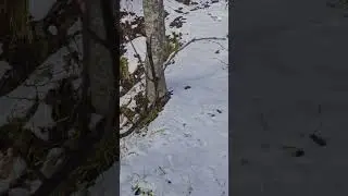 Очень опасное место люди срывалась тут #shorts #яблогер #shorts #shot #video
