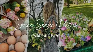 Year 2 Micro Flower Farm // Spring 2024 Recap // Relaxing No Talking Garden Tour //Wild Prairie Farm