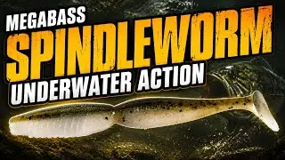 Megabass Spindleworm Underwater Footage - Bass Lure